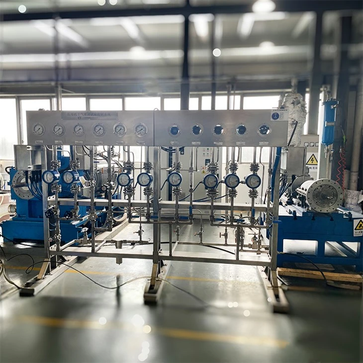 Dry Gas Seal Test Rig suppliers